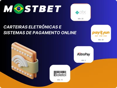 Carteiras Eletrônicas e Sistemas de Pagamento Online